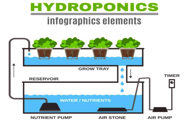 Methods of Hydroponics