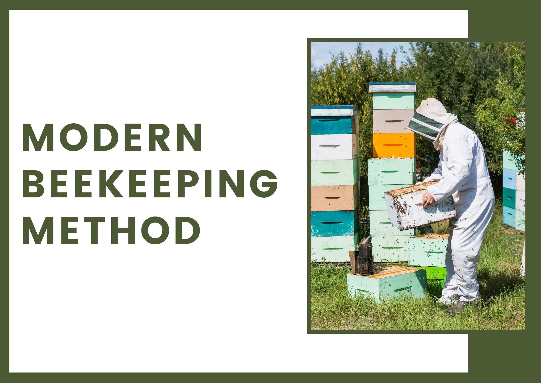 Beekeeping Techniques and Maintenance