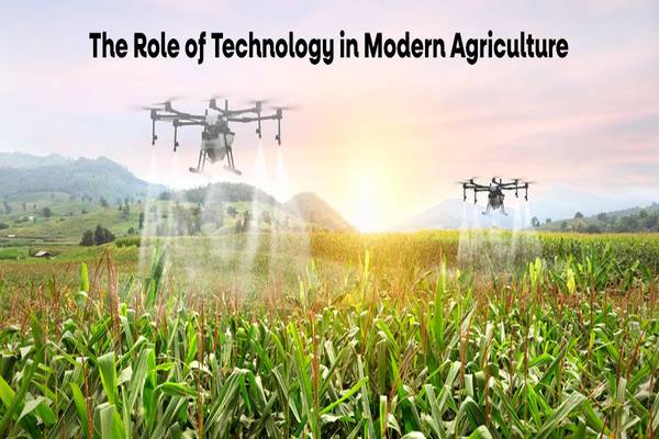 The Role of Technology in Agricultural Storage