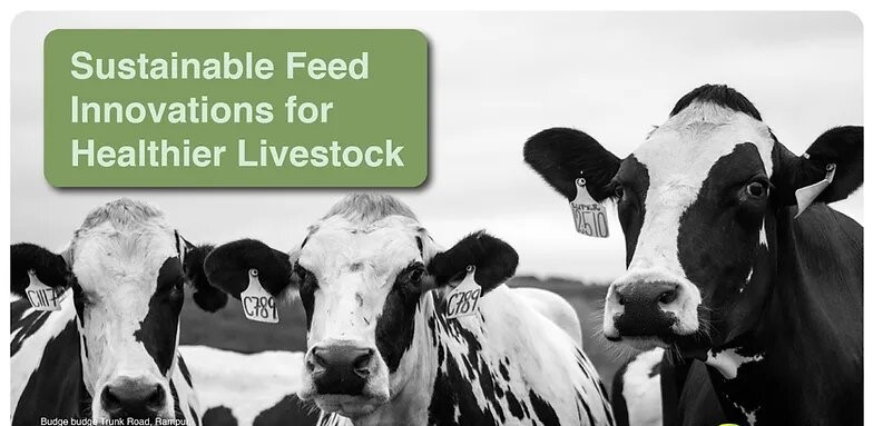 Innovations in Livestock Feed