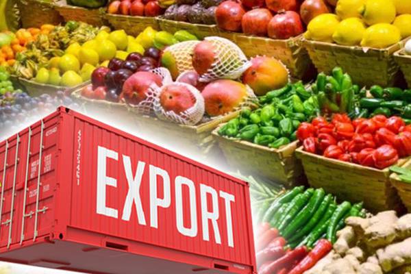 How Agricultural Exports Help Farmers: Boosting Prosperity and Sustainability