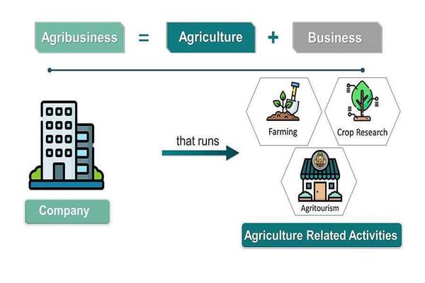 Key Components of Agricultural Marketing