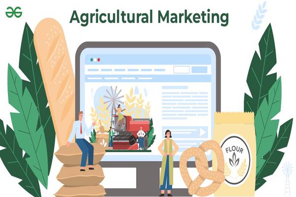 Agricultural Marketing: Cultivating Success in the Modern Market