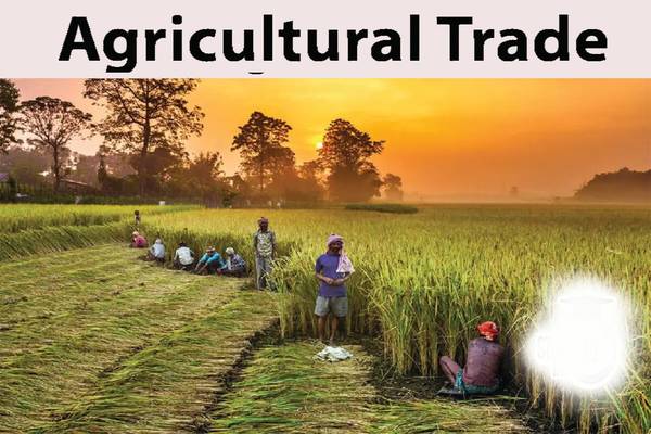 Understanding Agricultural Trade