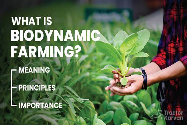 Introduction to Biodynamic Farming