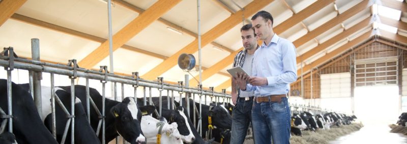 Challenges Faced by Dairy Farmers