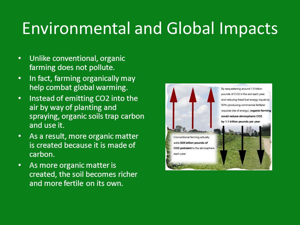The Global Impact of Organic Farming & Misconceptions about Organic Farming