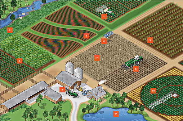 Sustainable Storage Practices in Agriculture