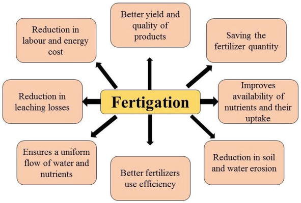 Steps to Set Up an Efficient Fertigation System