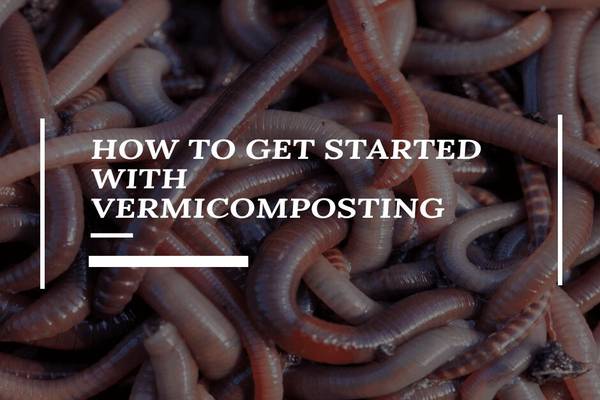 Getting Started with Vermicomposting