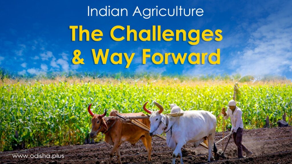 Challenges in Agricultural Policy Implementation