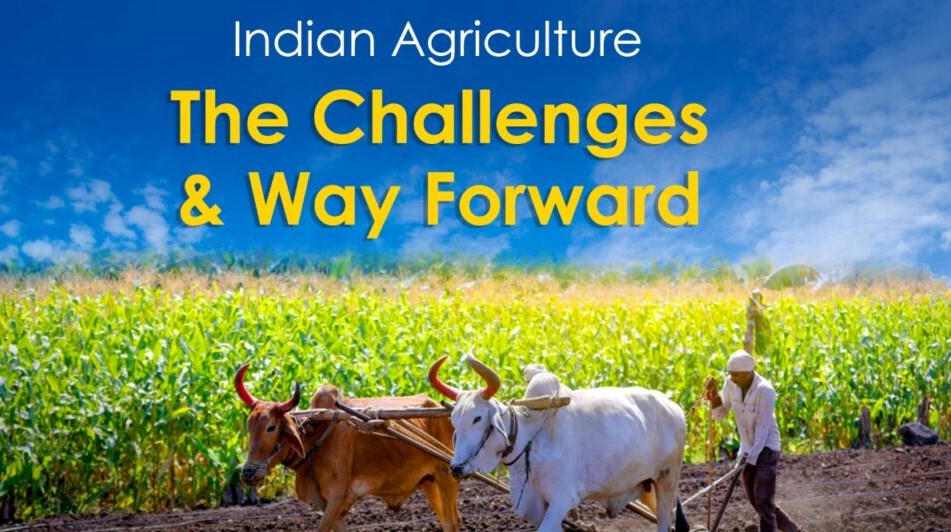 Challenges in Agricultural Imports