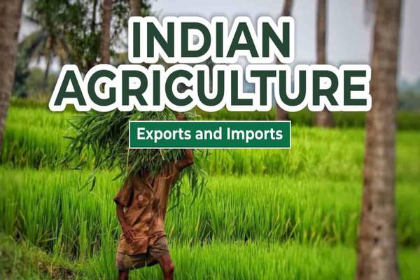 Agricultural Imports: Navigating the Global Food Trade