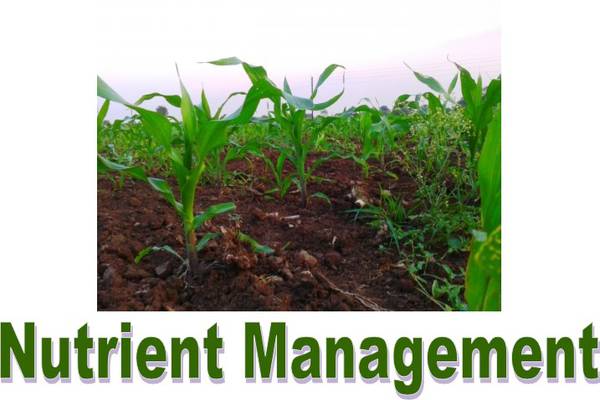 Understanding Nutrient Management in Agriculture