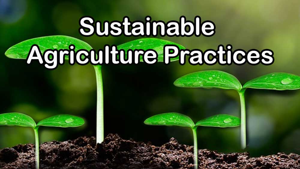 Sustainable Farming Practices &  Challenges and Mitigations