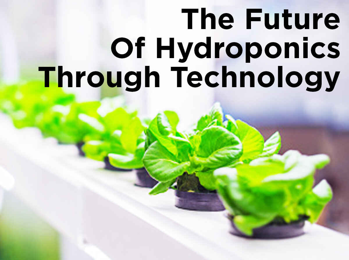 Future of Hydroponics