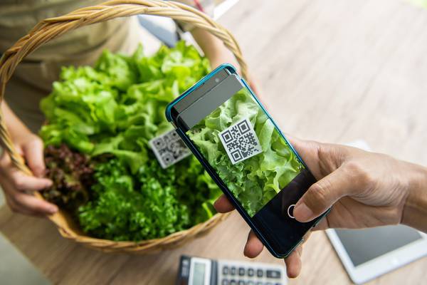 Digitalization in Agricultural Marketing