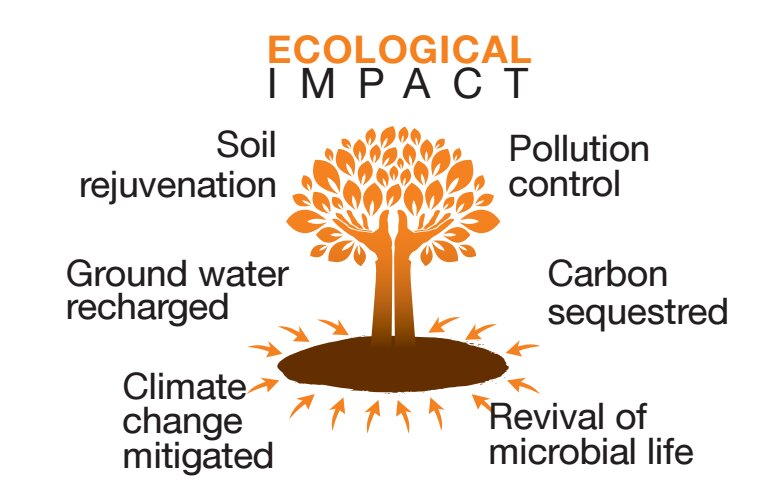 Environmental Impact of Vermiculture