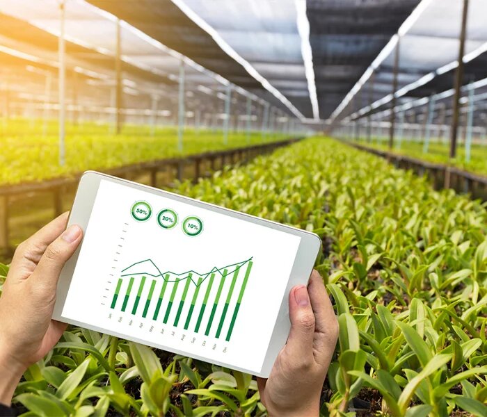The Future of Agriculture: Polyhouse Farming's Role