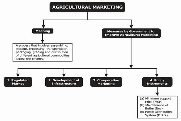 Understanding Agricultural Marketing