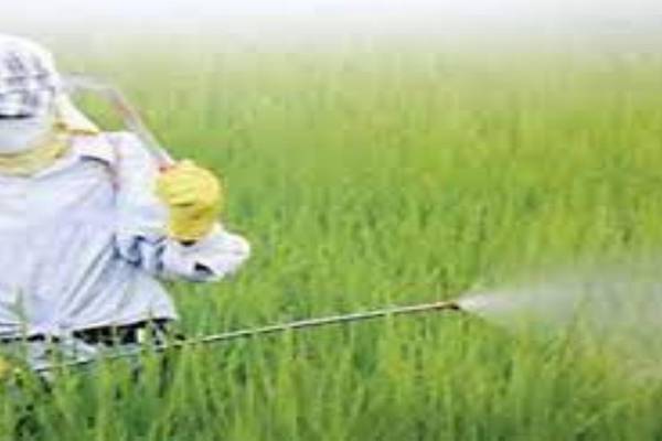 Understanding Agricultural Sprayers