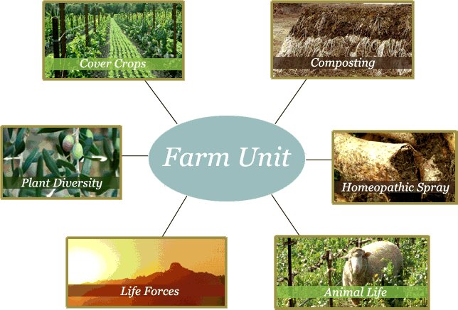 The Benefits of Biodynamic Farming