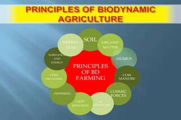 Key Principles of Biodynamic Farming