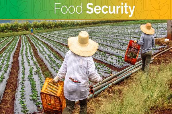 Addressing Global Food Security