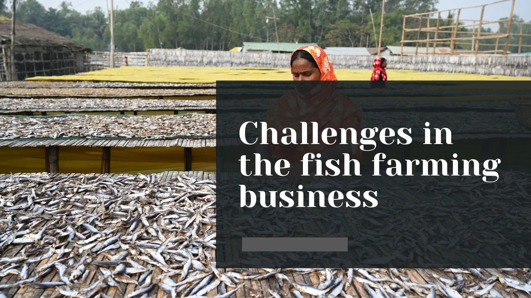 Challenges in Fish Farming