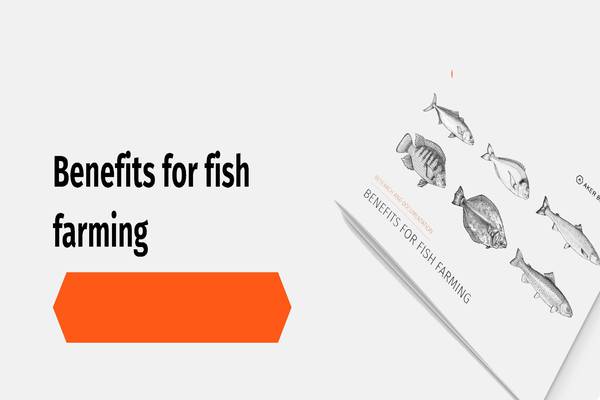 Advantages of Fish Farming