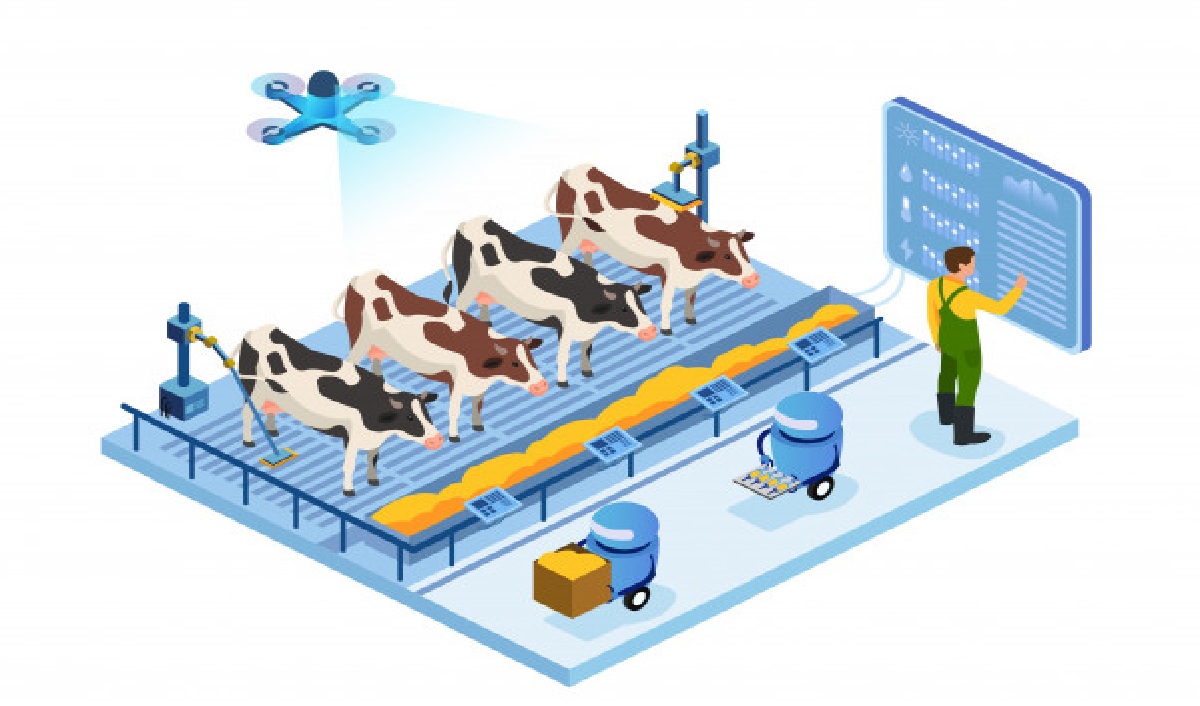 Future Trends in Dairy Farming