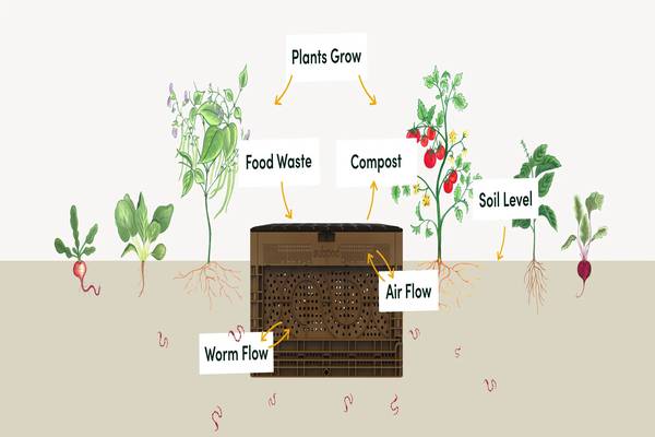 Maintaining Your Vermiculture System