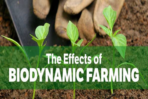 The Foundations of Biodynamic Farming