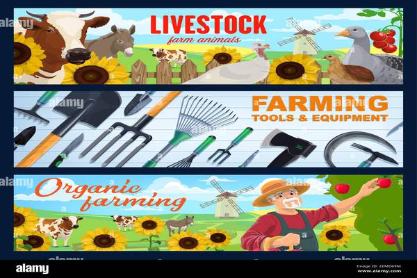 Livestock Farming Equipment