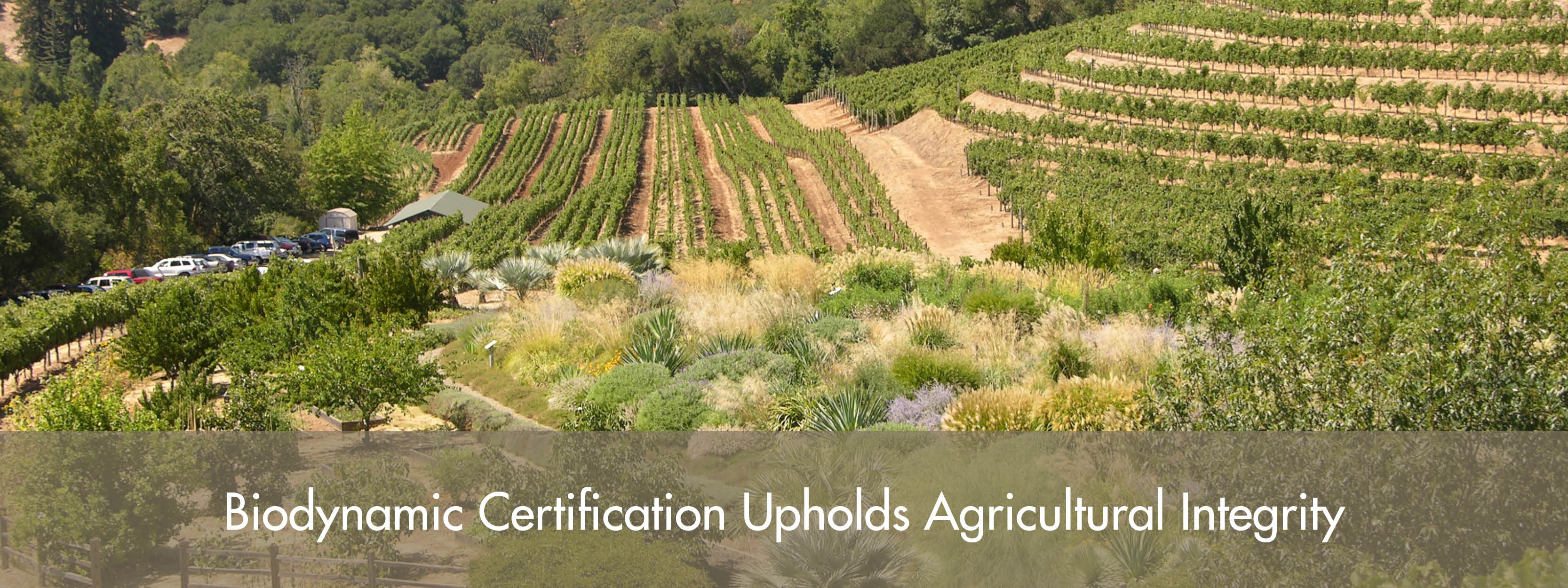 Biodynamic Certification and Practices Worldwide
