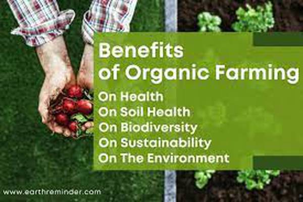 The Benefits of Organic Machinery