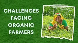 Challenges in Organic Farming