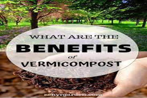 Benefits of Vermiculture
