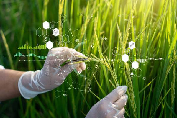 Agricultural Research: A Key Player in Shaping the Future of Farming