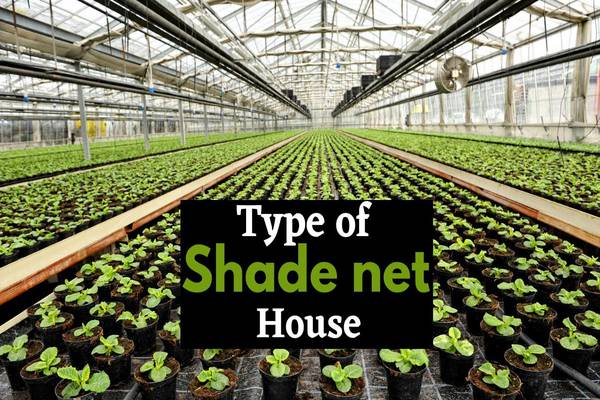 Different Types of Net Houses
