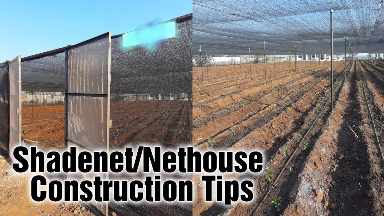 Tips for Successful Net House Farming