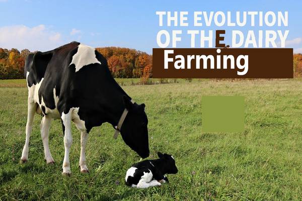 The Evolution of Dairy Farming: From Traditional to Modern Methods