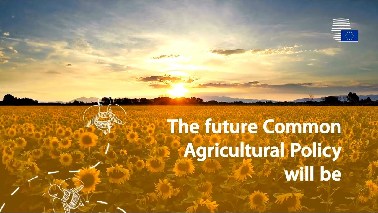 The Future of Agricultural Policy