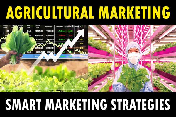 Strategies for Effective Agricultural Marketing