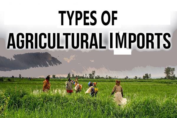 Types of Agricultural Imports