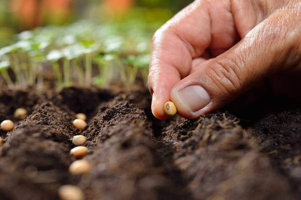 Understanding of Seed Equipment