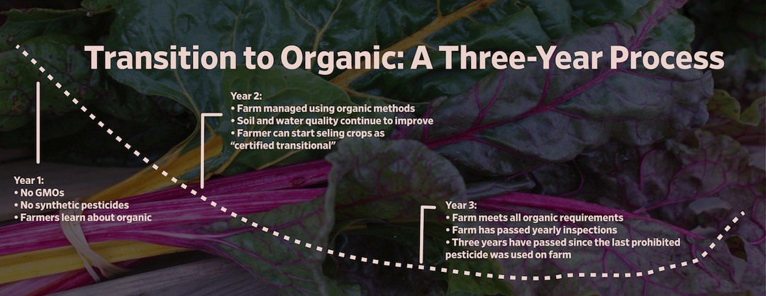 Making the Transition to Organic Farming
