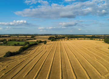 Types of Arable land