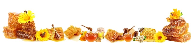 Apiculture