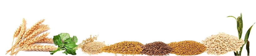 CROP SEEDS